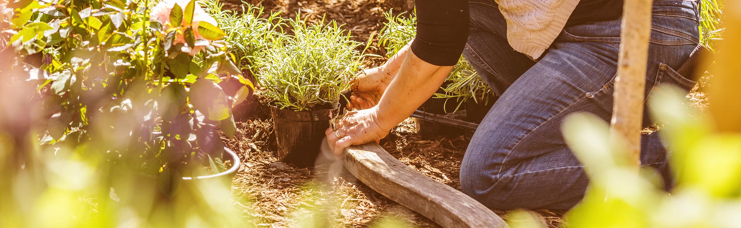 Gartenarbeit